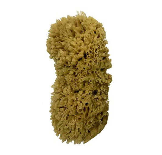 Asian Paints Royale Play New Sea Sponge